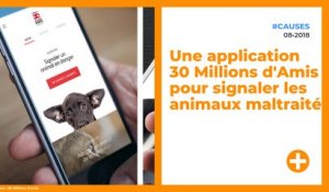 Une application 30 Millions d'Amis pour signaler les animaux maltraités