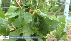 Météo : des orages de grêle font d'importants dégâts dans le Beaujolais