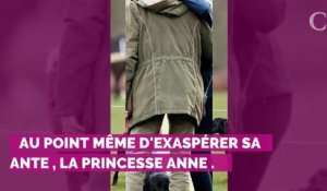 VIDEO. Le jour où la princesse Anne a dû calmer le jeune prince Harry, un peu trop surexcité