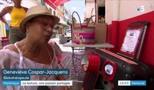 Martinique : des bibliothèques en libre-service dans les rues de Fort-de-France