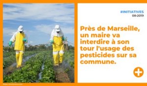 Près de Marseille, un maire va interdire à son tour l'usage des pesticides