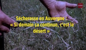 Sécheresse en Auvergne : « Si demain ça continue, c'est le désert »