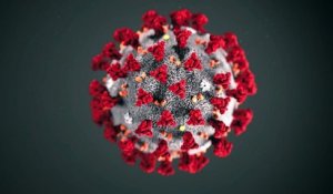 Et si le coronavirus 2019-nCoV mutait dans une forme plus pathogène ?