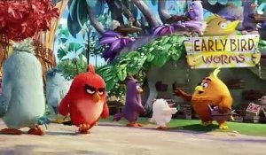 Angry Birds : le film (2016) - Bande annonce