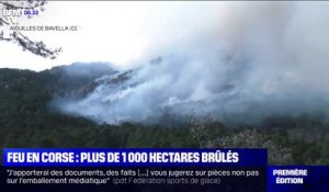 En Corse, plus de 1000 hectares de végétation brûlés dans un incendie