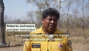 Amazonie : la forêt brûle aussi en Bolivie