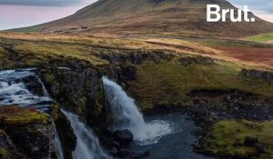 En Islande, les programmes destinés à reboiser le territoire en plein essor