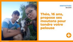 Théo, 16 ans, propose ses moutons pour tondre votre pelouse