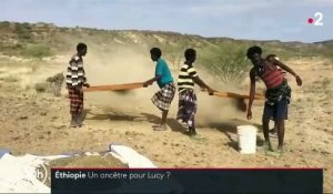 Éthiopie : qui est l'australopithèque anamensis, ancêtre de Lucy ?