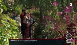 Eure : les nymphéas, stars de la maison de Monet à Giverny