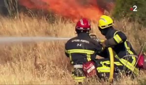 Incendie : des centaines de pompiers luttent contre les flammes