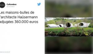 Vosges : Les maisons-bulles Häusermann ont été adjugées 360 000 euros