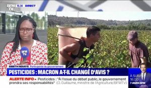 Pesticides: Sibeth Ndiaye affirme que le gouvernement "a la préoccupation de faire des choix étayés scientifiquement"
