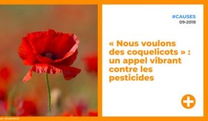 « Nous voulons des coquelicots » : un appel vibrant contre les pesticides