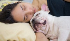 C’est officiel : les femmes dorment mieux avec leur chien qu'avec un homme