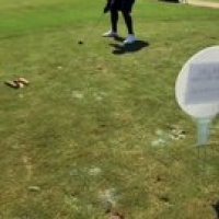 Zion Williamson casse un club en jouant au golf...