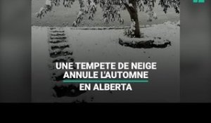 Au Canada, une tempête de neige a annulé l'automne