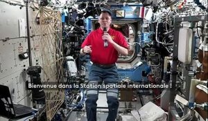 "C'était l'un de mes rêves" : Brad Pitt discute avec un astronaute en direct de l'ISS pour la promotion de "Ad Astra"