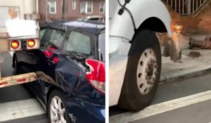 Un chauffeur de camion prend une route interdite aux poids lourds et arrache complètement une voiture