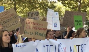 Plus de 400 jeunes manifestent à Annecy pour sauver le climat et la planète