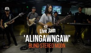 Blind Stereo Moon – 'Alingawngaw'