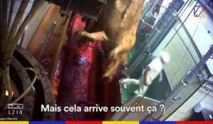 Mauricio, ancien ouvrier d'abattoir