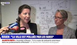 Agnès Buzyn à Rouen: "La ville est clairement polluée"