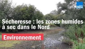 Sécheresse dans le Nord