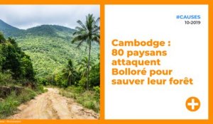 Cambodge : 80 paysans attaquent Bolloré pour sauver leur forêt