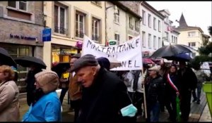 Les personnel des Ehpad manifestent dans les rues de Sarrebourg