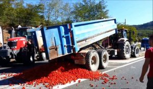Les agriculteurs de Vaucluse écrasent des tomates sur la nationale 7