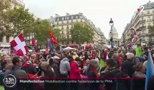 Manifestation : mobilisation à Paris contre l'extension de la PMA
