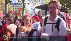 PMA pour toutes : les opposants au projet de loi se mobilisent à Paris