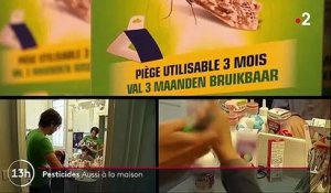 Pesticides : attention à leur utilisation dans les maisons