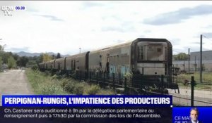 Train Perpignan-Rungis: les producteurs espèrent sa remise en route rapide