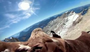 Un aigle survole les Alpes : des images spectaculaires pour alerter sur la fonte des glaces