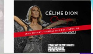 Vieilles Charrues : 55 000 billets vendus en neuf minutes pour la venue de  Céline Dion