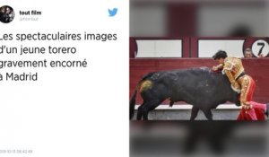 Un jeune torero grièvement blessé dans les arènes de Madrid