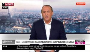 l'association L214 dévoile des images d'élevages intensifs de veaux laitiers