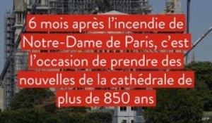 Notre-Dame 6 mois après