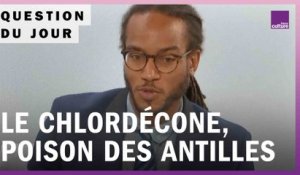 Chlordécone : pourquoi la France a-t-elle tardé à interdire ce pesticide aux Antilles ?