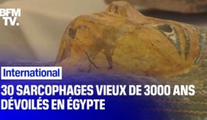 30 sarcophages de plus de 3000 ans dévoilés en Égypte