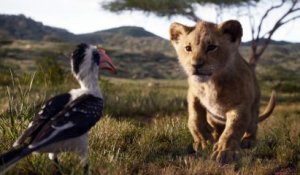 Le Roi Lion - Vidéo à la Demande d'Orange
