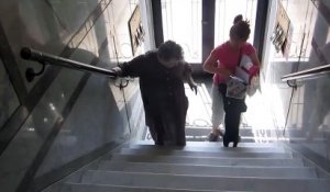 Ce chien aide une mamie à monter l'escalier.. en tirant sa robe !
