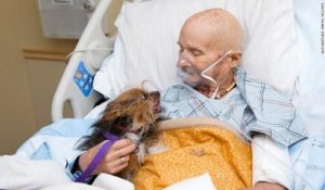 Un vétéran de guerre américain hospitalisé dans un hospice fait le vœu de passer une journée avec son chien pour la dernière fois