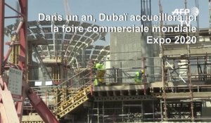 Le vaste chantier de l'Expo 2020 de Dubaï s'élève dans le désert