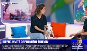 Première Edition (BFM TV) : Idéfix, invité d'Adeline François et Damien Gourlet