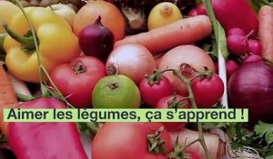 Pourquoi je déteste les légumes ? - Campagne de Santé publique France