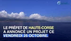 Haute-Corse : un plan d'attaque pour se débarrasser des voitures ventouses