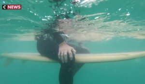 Afrique du Sud : le surf en bois cartonne